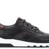 Sneakers-Martinelli Sneakers Newport